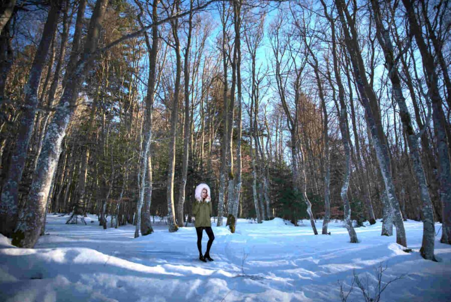 une mannequin en anorak dans un sous bois enneigé